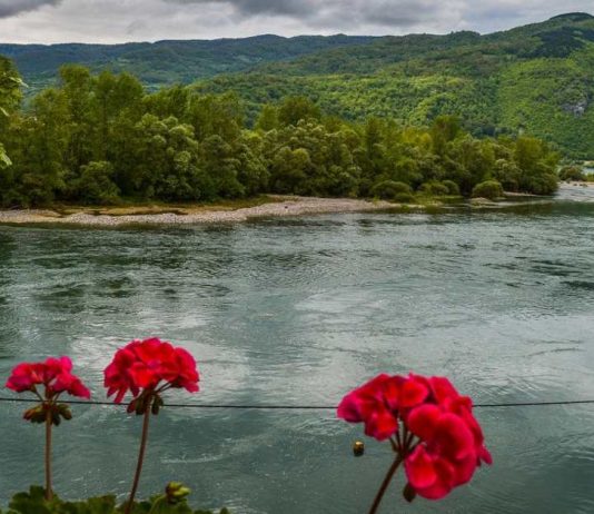 Pet načina da iskoristite leto ukoliko ne otputujete na more srbija reka drina odmor leto