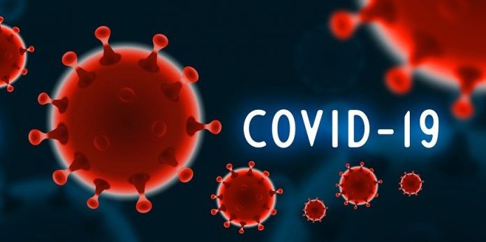 covid-19