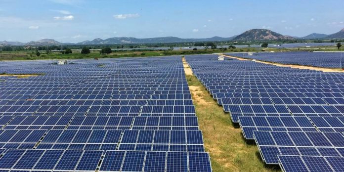 Da li se privrednicima isplati da koriste solarne ploče umesto plastenike? solarne ploče