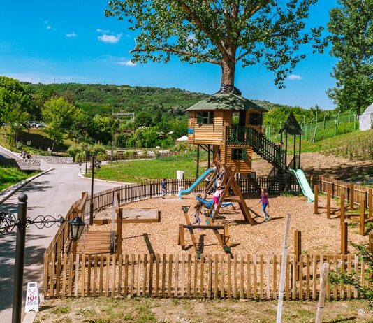 Kako da gradska deca upoznaju život na selu i zavole prirodu i životinje kako da gradska deca upoznaju život na selu